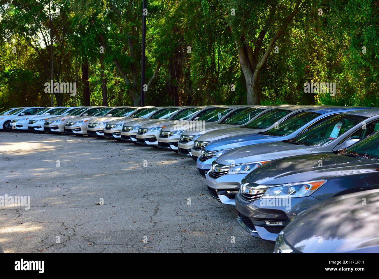 Honda cars all lined up in a row, for sale outside Stock Photo