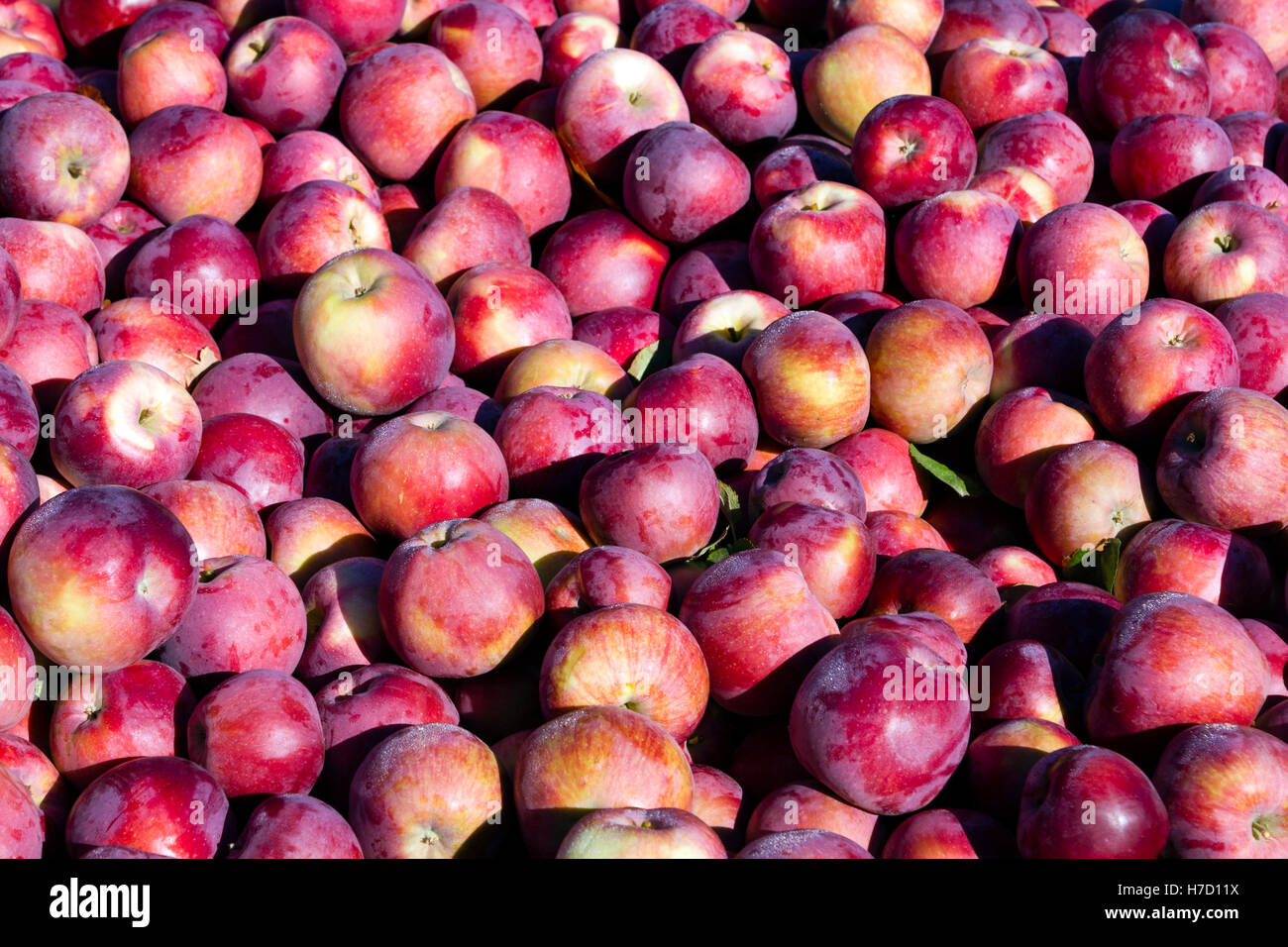 Wooden fruit bins hires stock photography and images Alamy