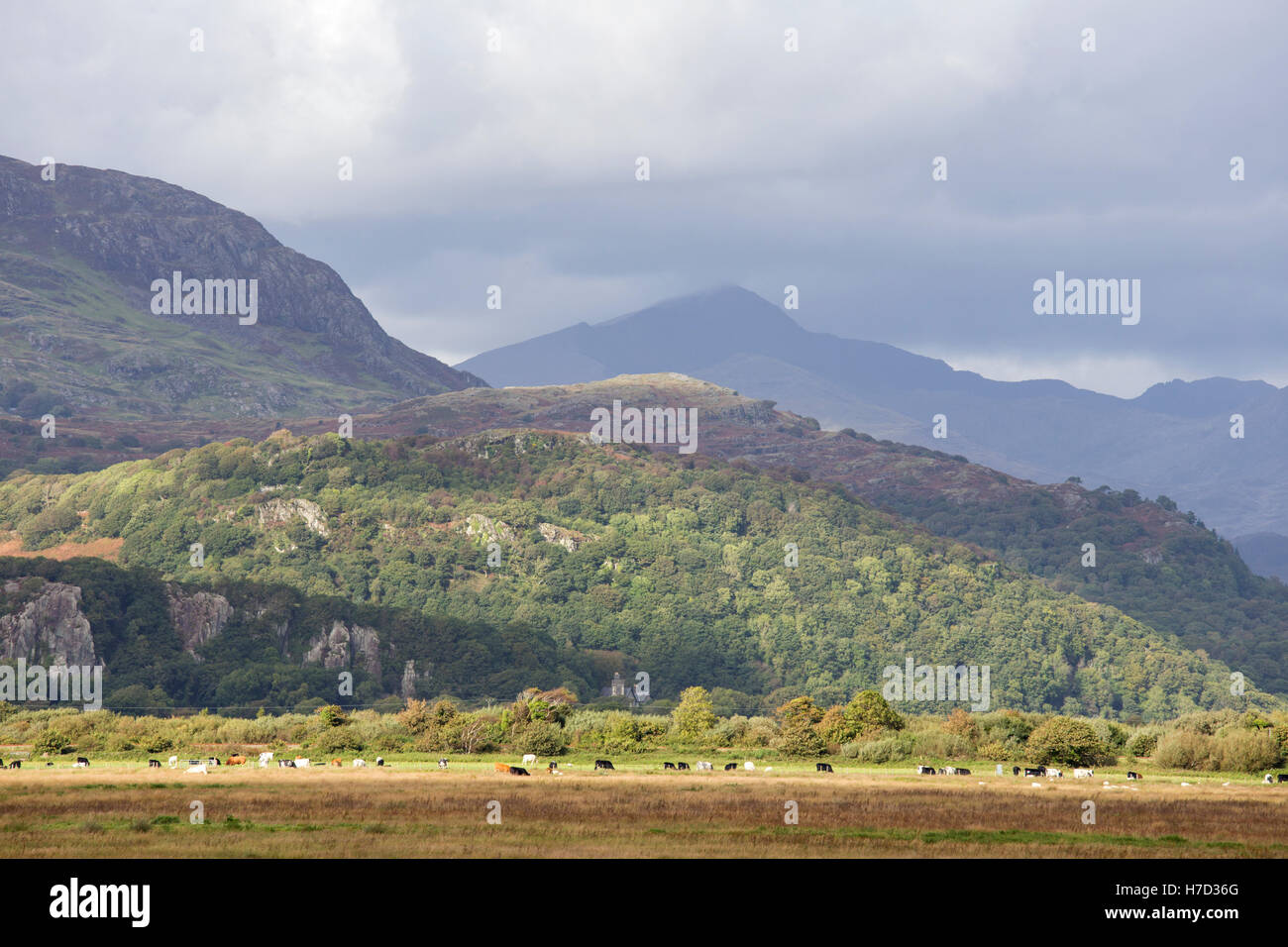 Snowdon (Yr Wyddfa) from Glaslyn Marshes SSSI, Porthmadog, Snowdonia