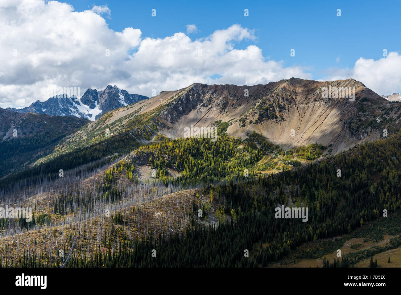 Mountain view along the Pacific Crest Trail in the North Cascades. Washington, USA. Stock Photo
