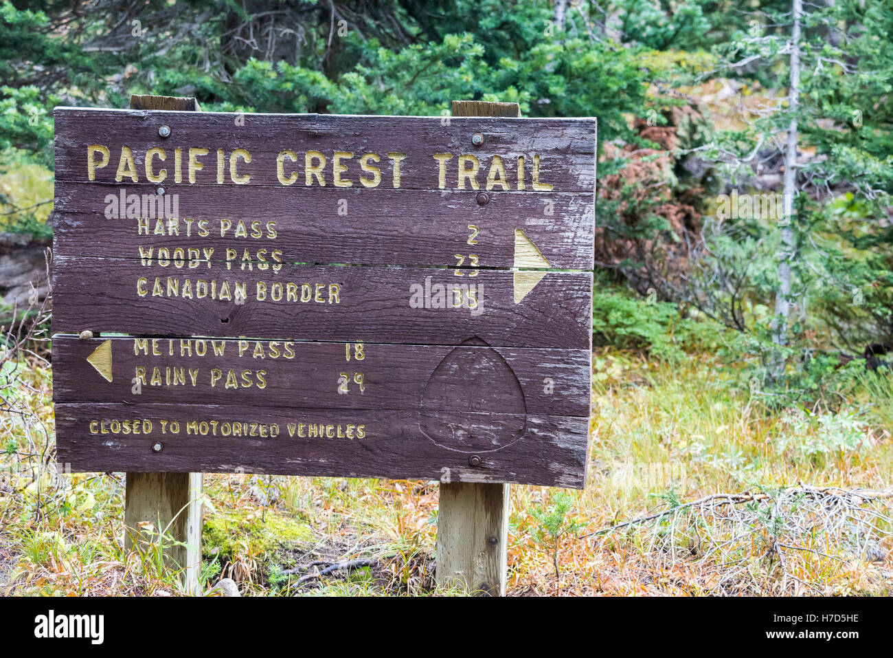 Pacific crest shop trail north cascades