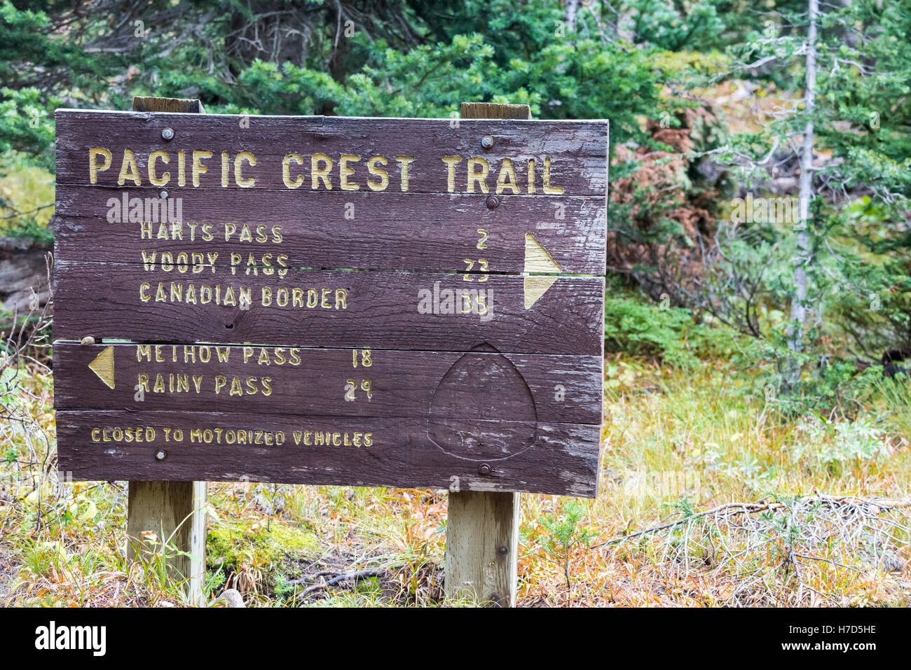 Board sign of Pacific Crest Trail in the North Cascades. Washington, USA. Stock Photo