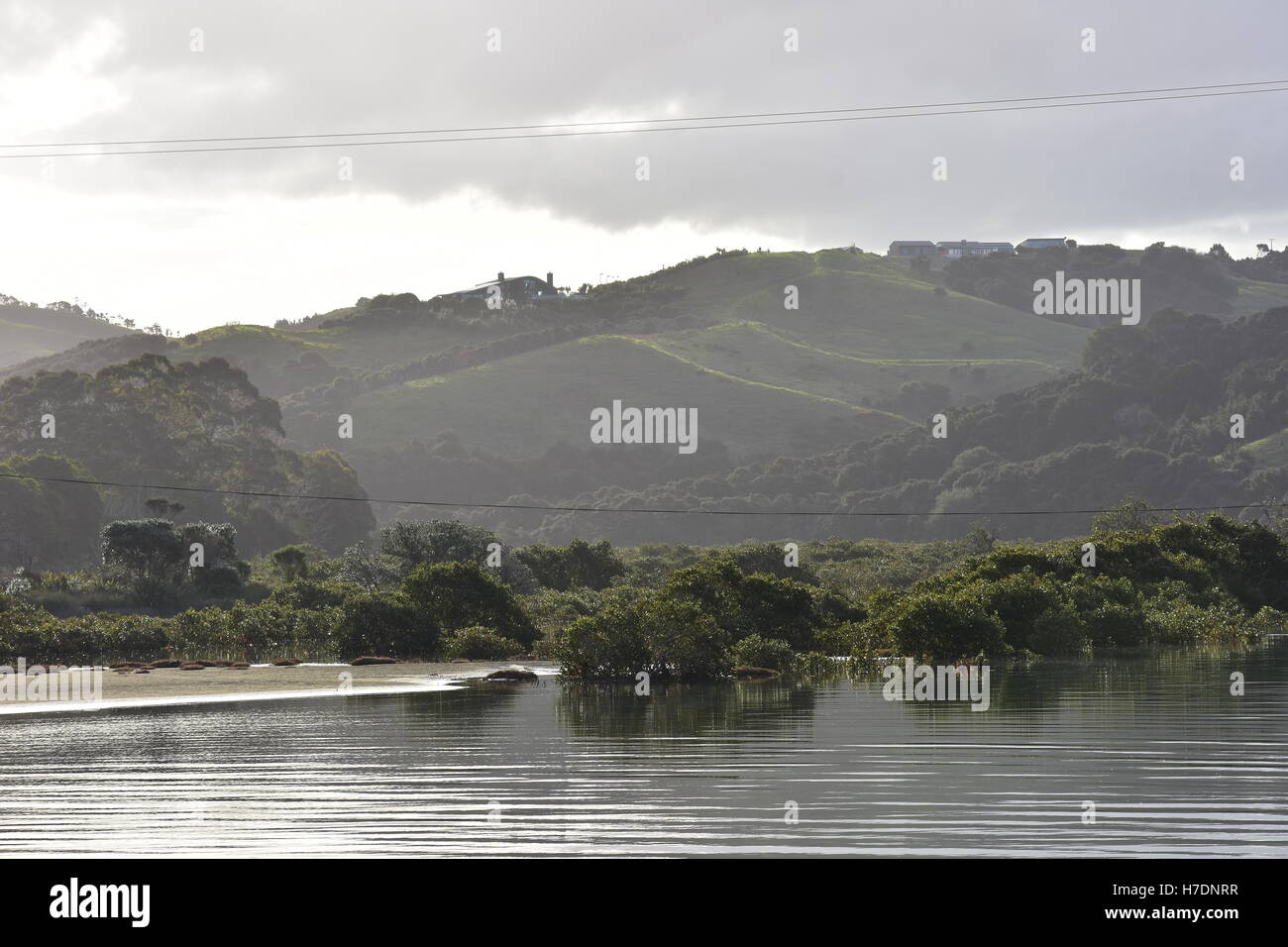 Mangroves of a calm estuary with hills in the background. Stock Photo