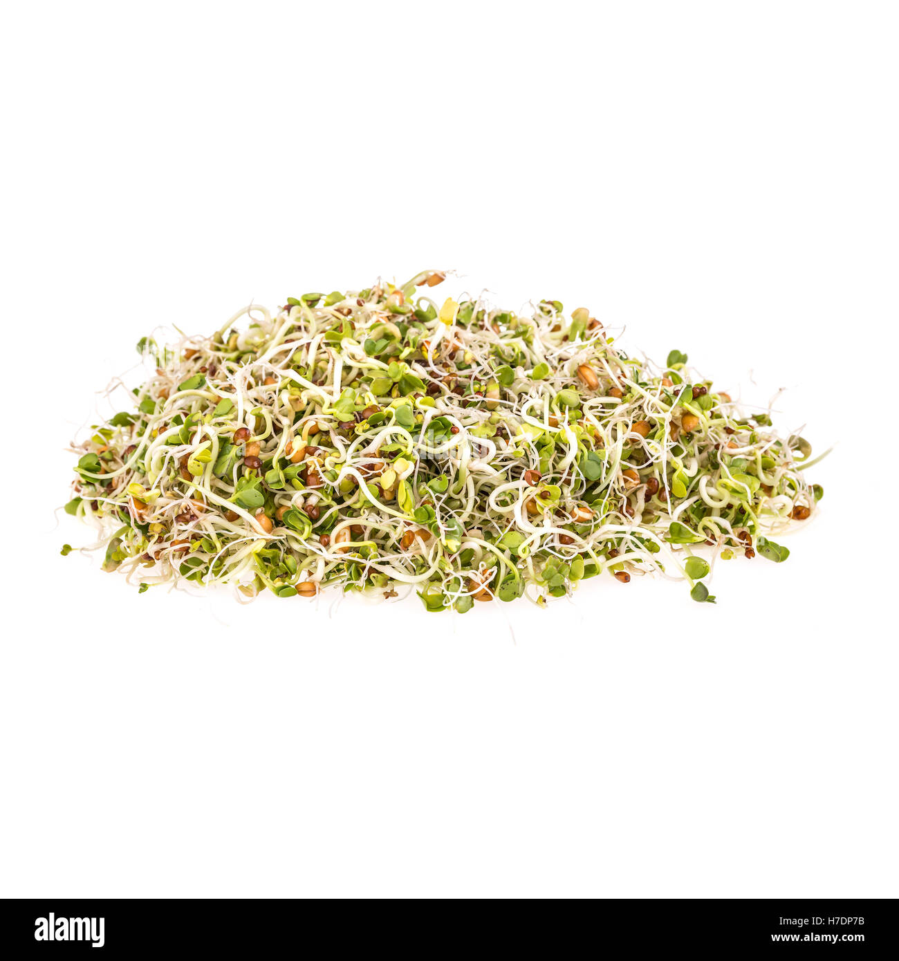 Sprouts Stock Photo