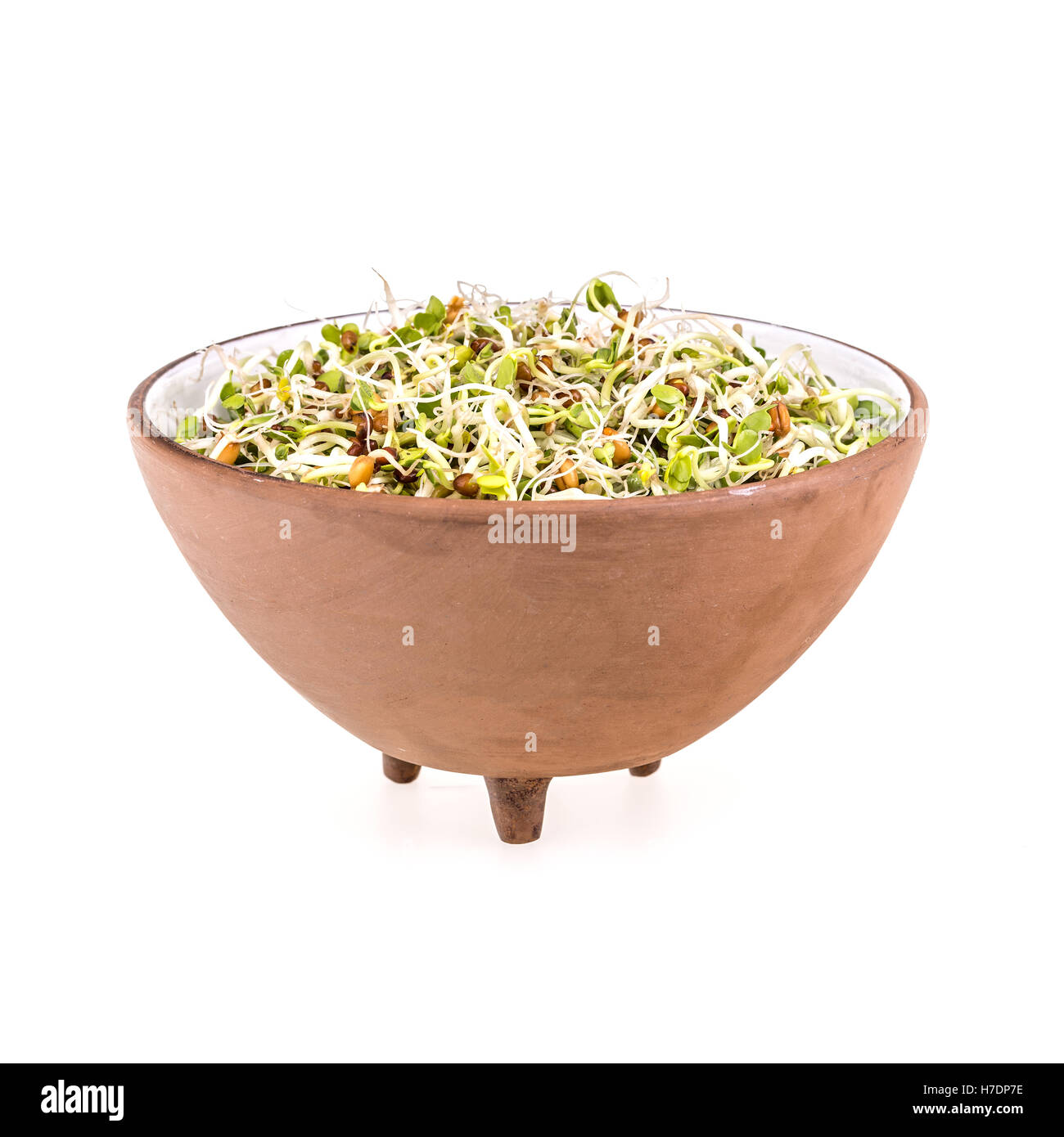 Sprouted seeds Stock Photo