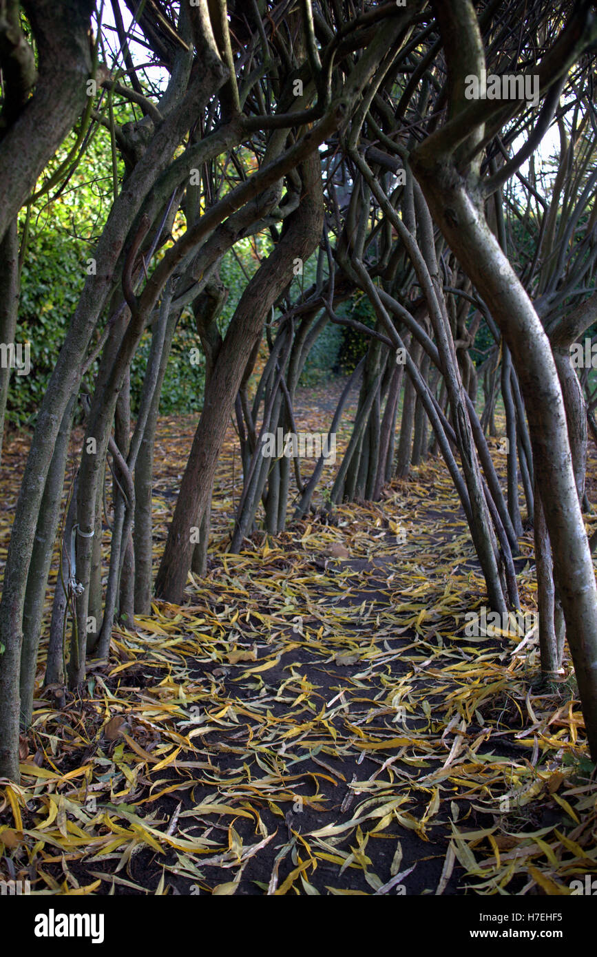 Botanic Gardens set in parkland in the west end of Glasgow Stock Photo