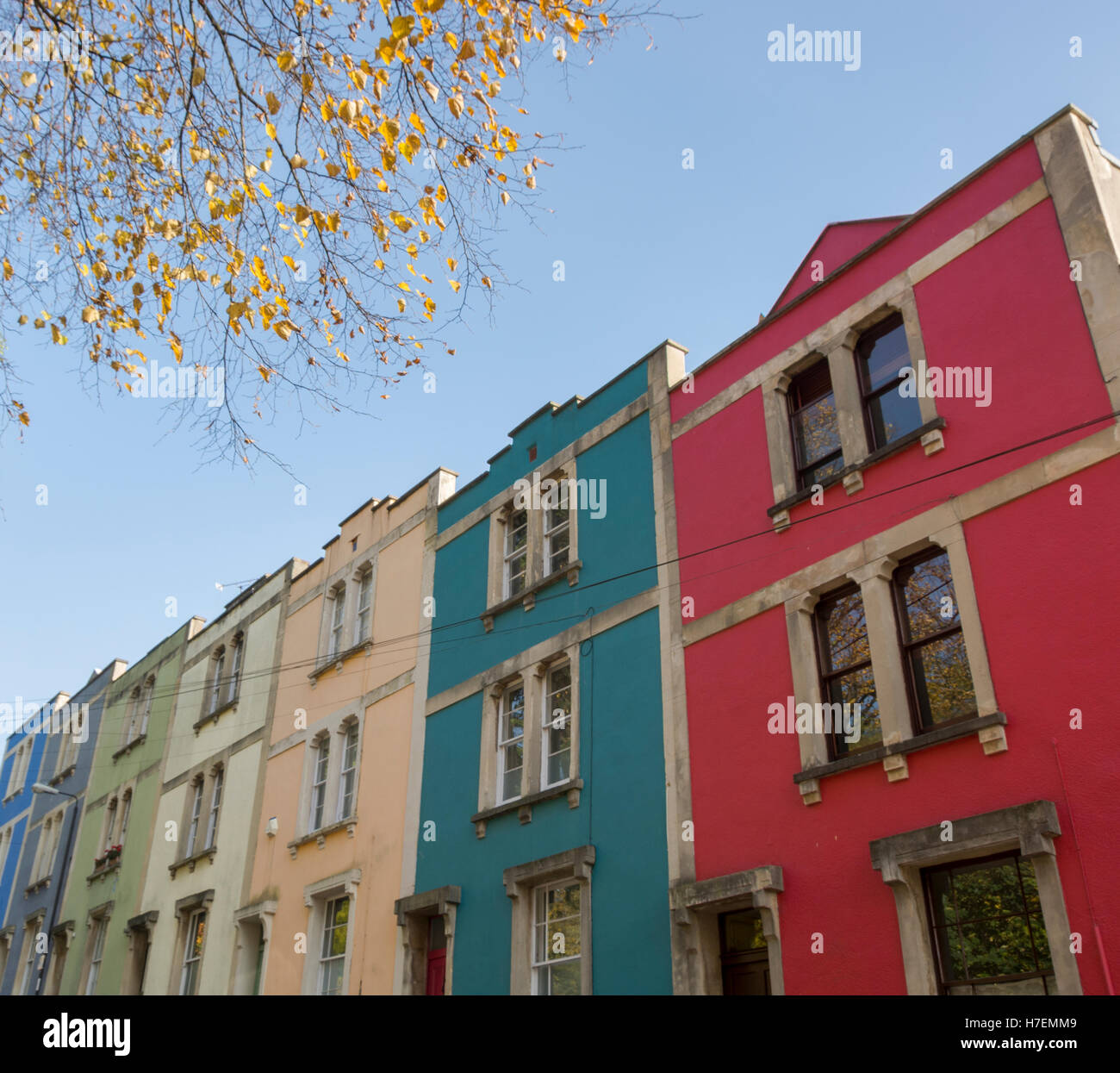 Colourful terrace of houses in Bristol with autumn tree Stock Photo Alamy
