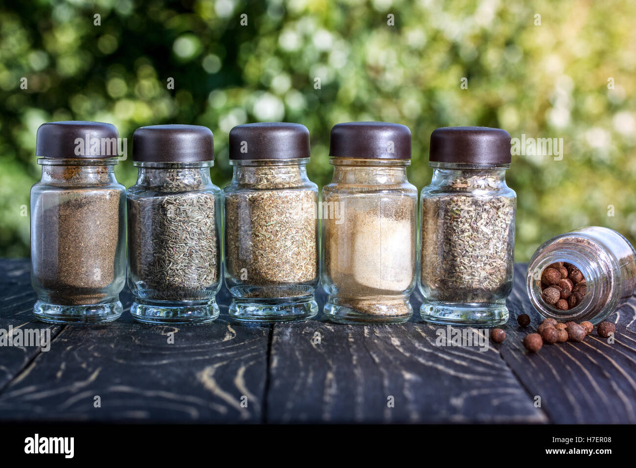 Colorful aromatic spices Stock Photo