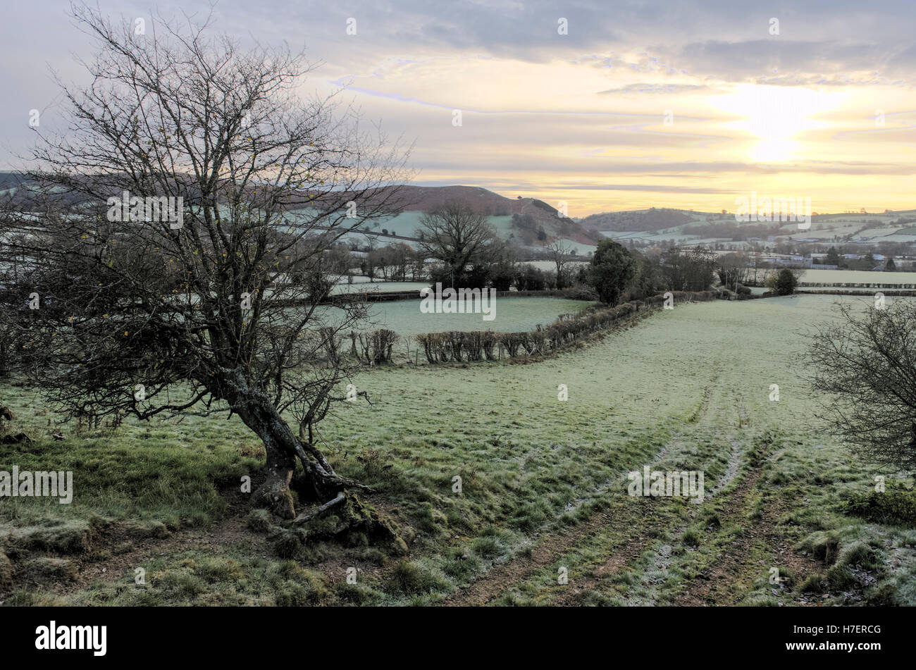Winter morning landscape in Radnorshire, Wales Stock Photo