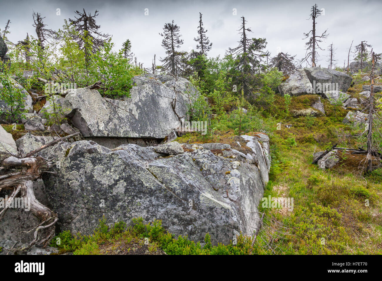 Mountain of the Vottovaara in Karelia,  Russia Stock Photo