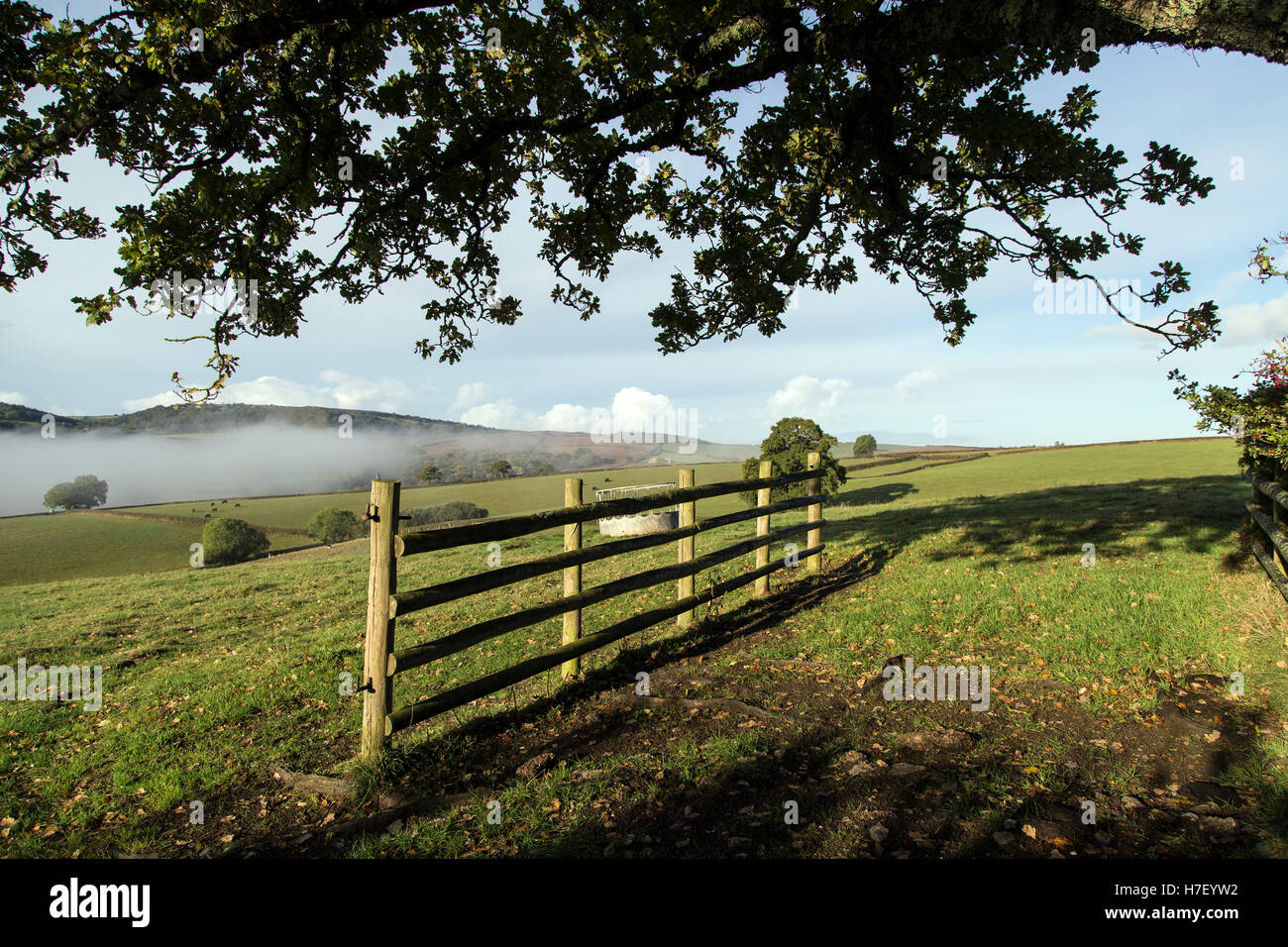Misty farmland near dunsford hires stock photography and images Alamy