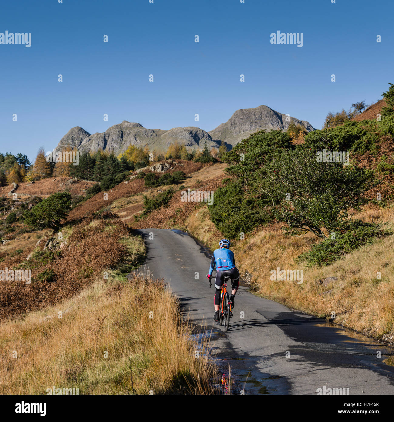 A cyclist climbing up to Blea Tarn in the Langdales, Cumbria, UK. Stock Photo