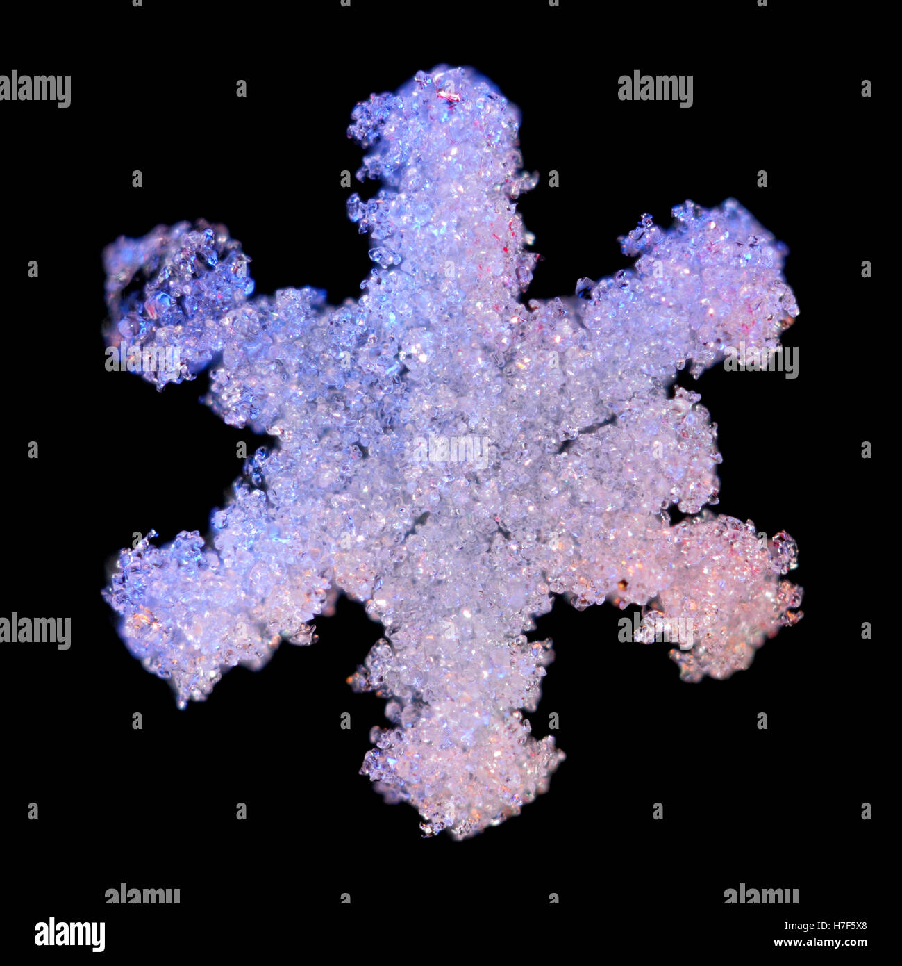 Snowflake magnified under microscope Stock Photo