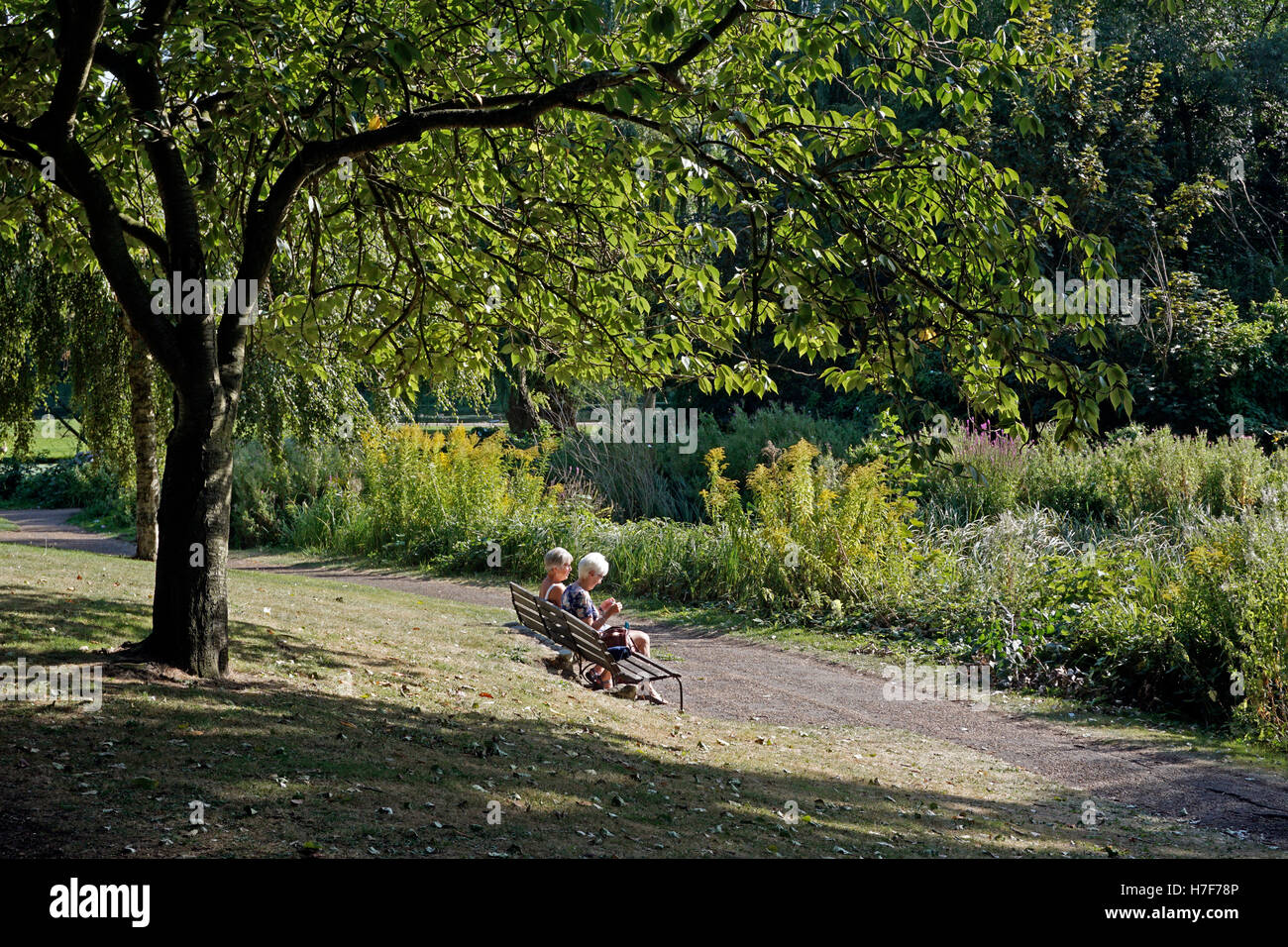retired women sitting in gibralter garden park norwich norfolk england Stock Photo