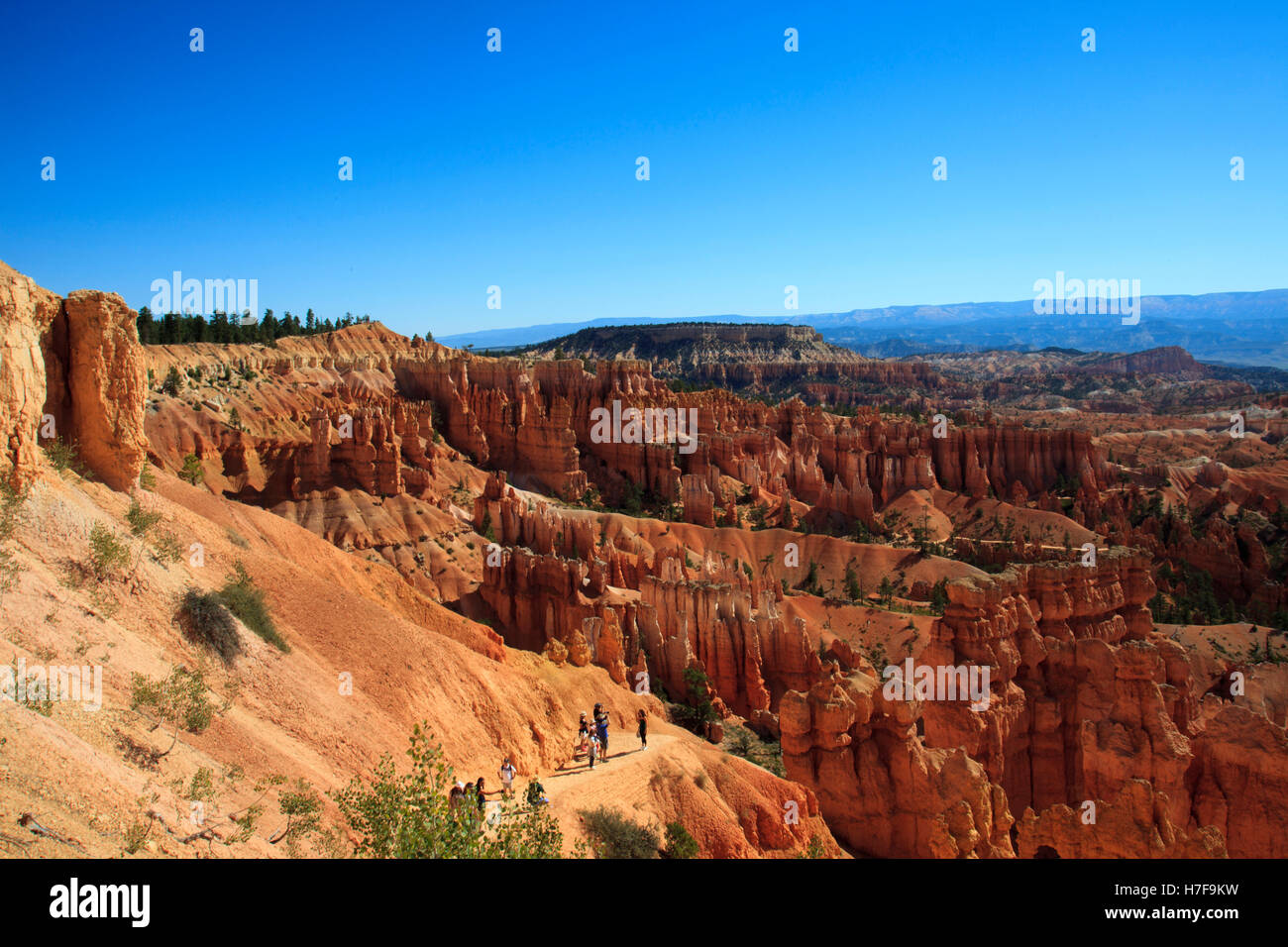 Hoodoo rock formations in Bryce Canyon National Park, Utah, USA Stock ...