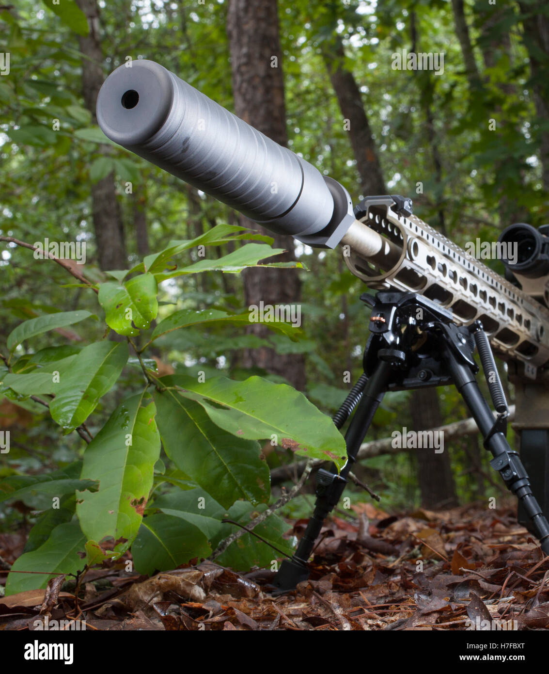 Suppressor that is mounted on a modern sporting rifle in the woods ...