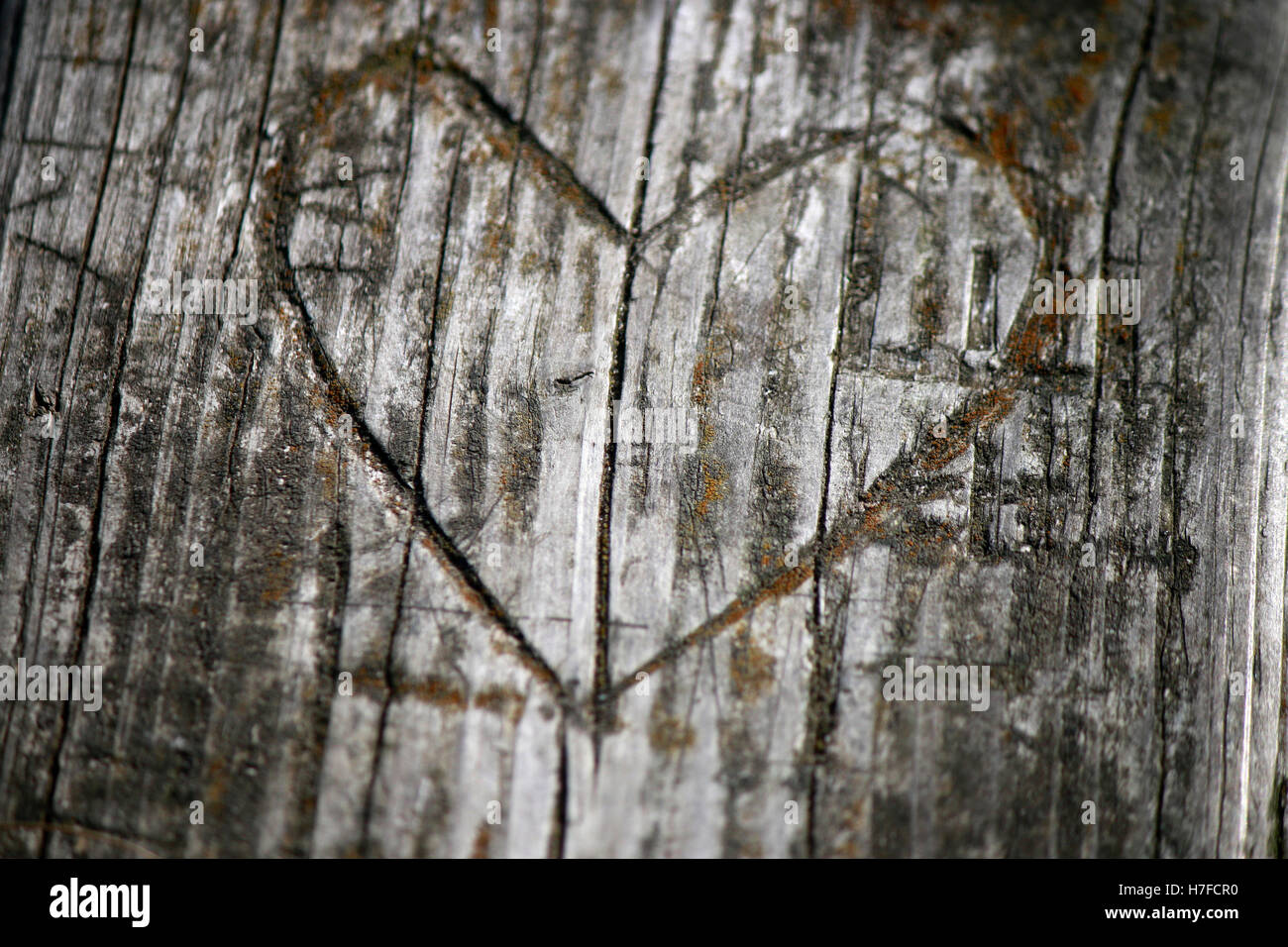 Herz-Schnitzerei, Vitte, Hiddensee. Stock Photo