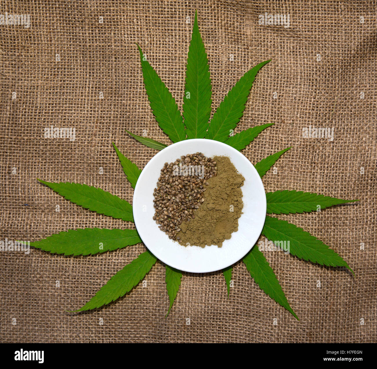 Hemp leaves (Cannabis) with hemp seeds and ground hempseed Stock Photo