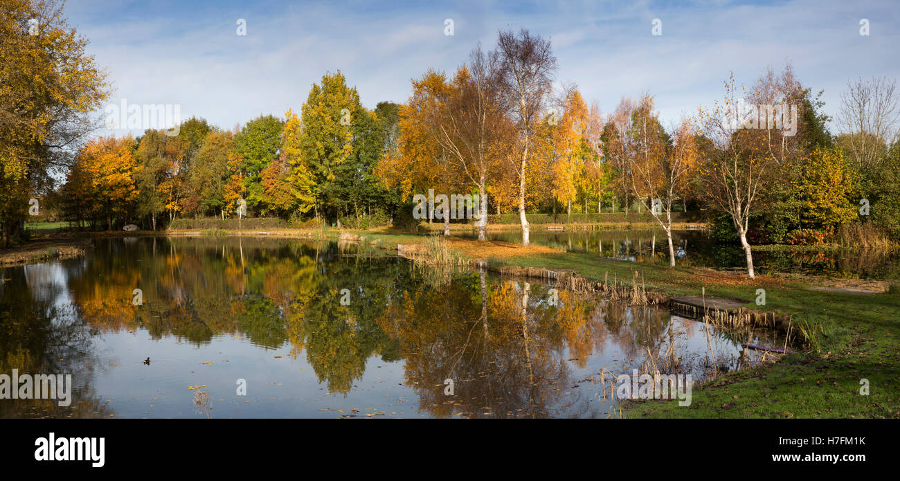 UK, England, Cheshire, Sandbach, Ettiley Heath, Watch Lane, autumnal trees beside Isle Pool, panoramic Stock Photo