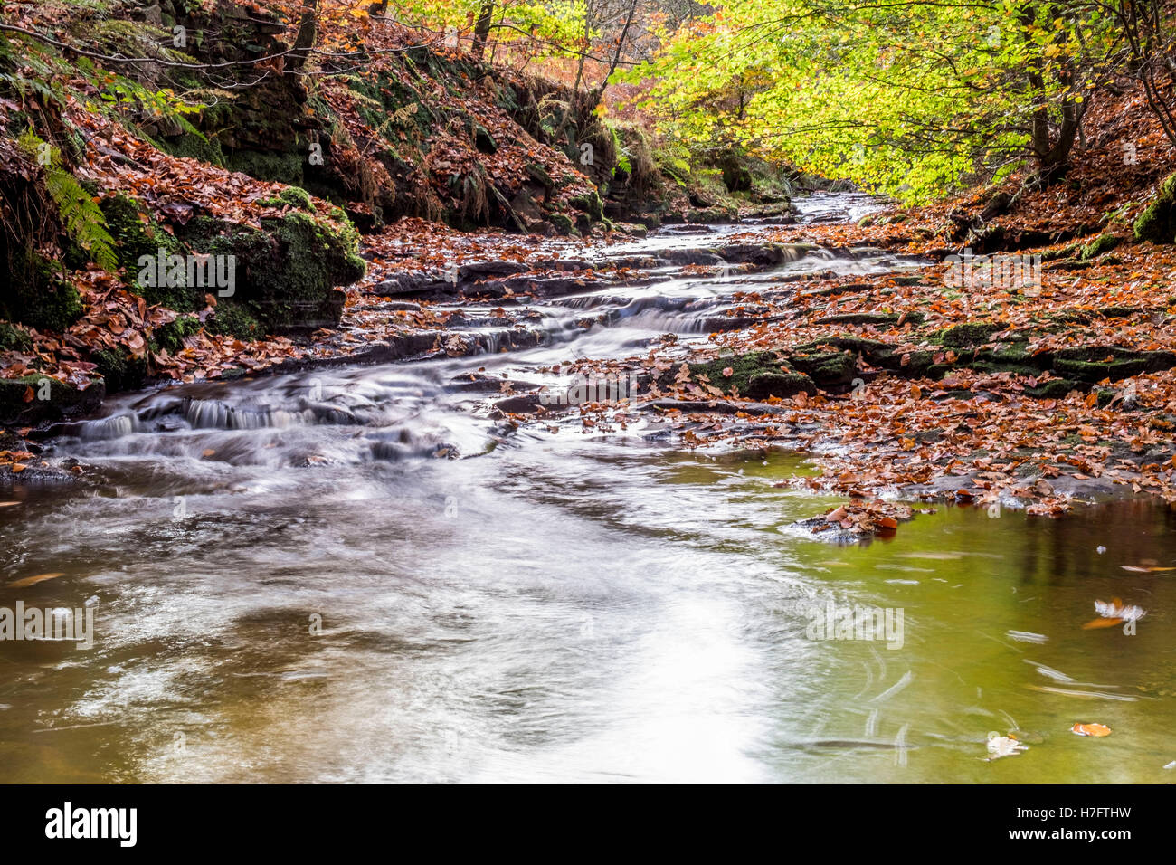 A small river winding its way through a woodland area Stock Photo - Alamy