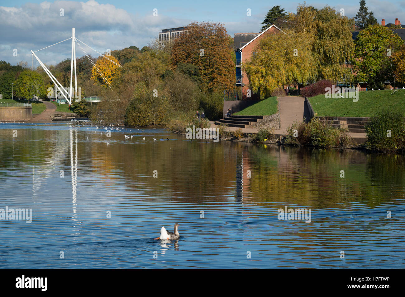 Miller's Crossing on the River Exe, Exeter, Devon, UK Stock Photo - Alamy