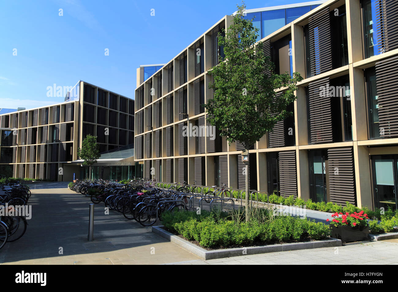 Modern buildings in the Radcliffe Observatory Quarter area, University of Oxford, England, UK Stock Photo