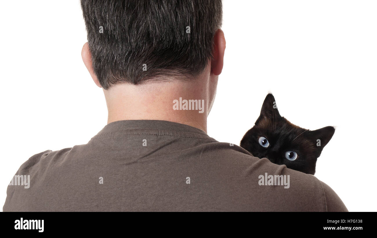 cat peeking over shoulder Stock Photo