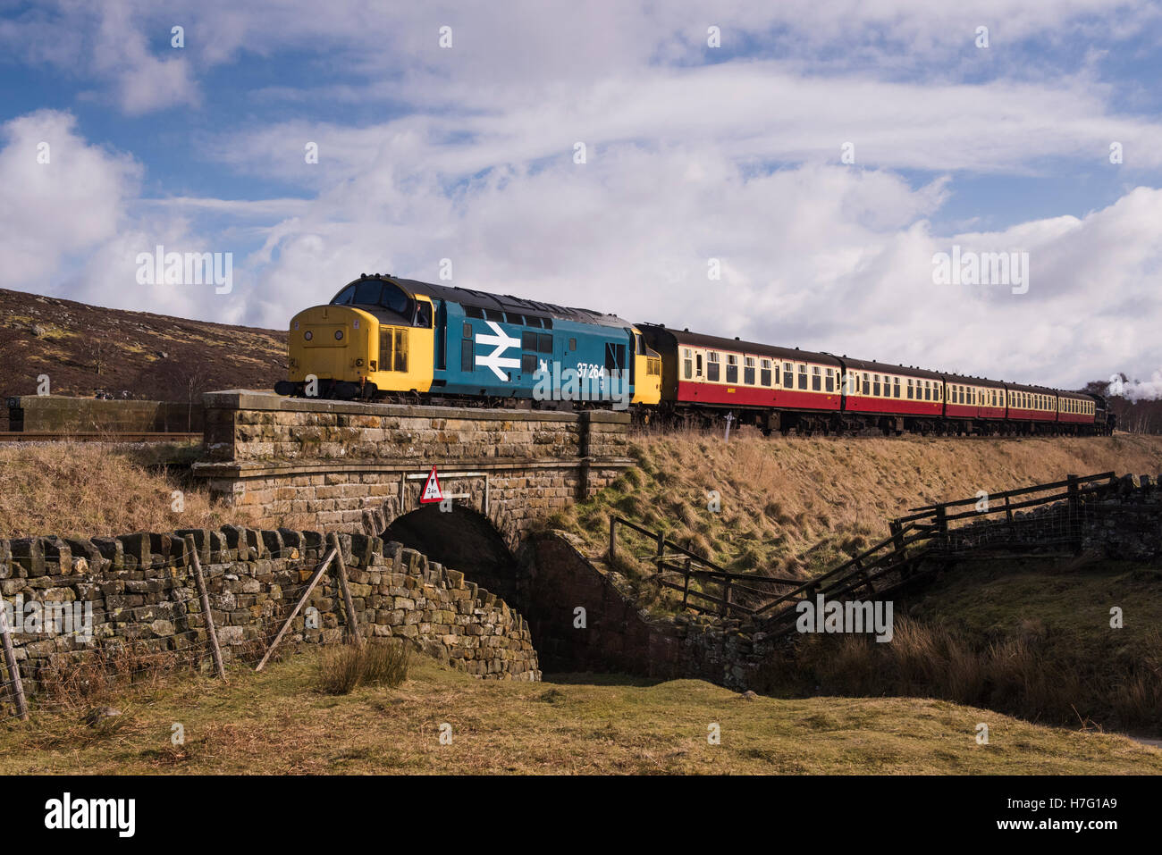 BR Class 37 'Co-Co' No. 37264 diesel locomotive train traveling on the tracks of the North Yorkshire Moors Railway, GB, UK. Stock Photo