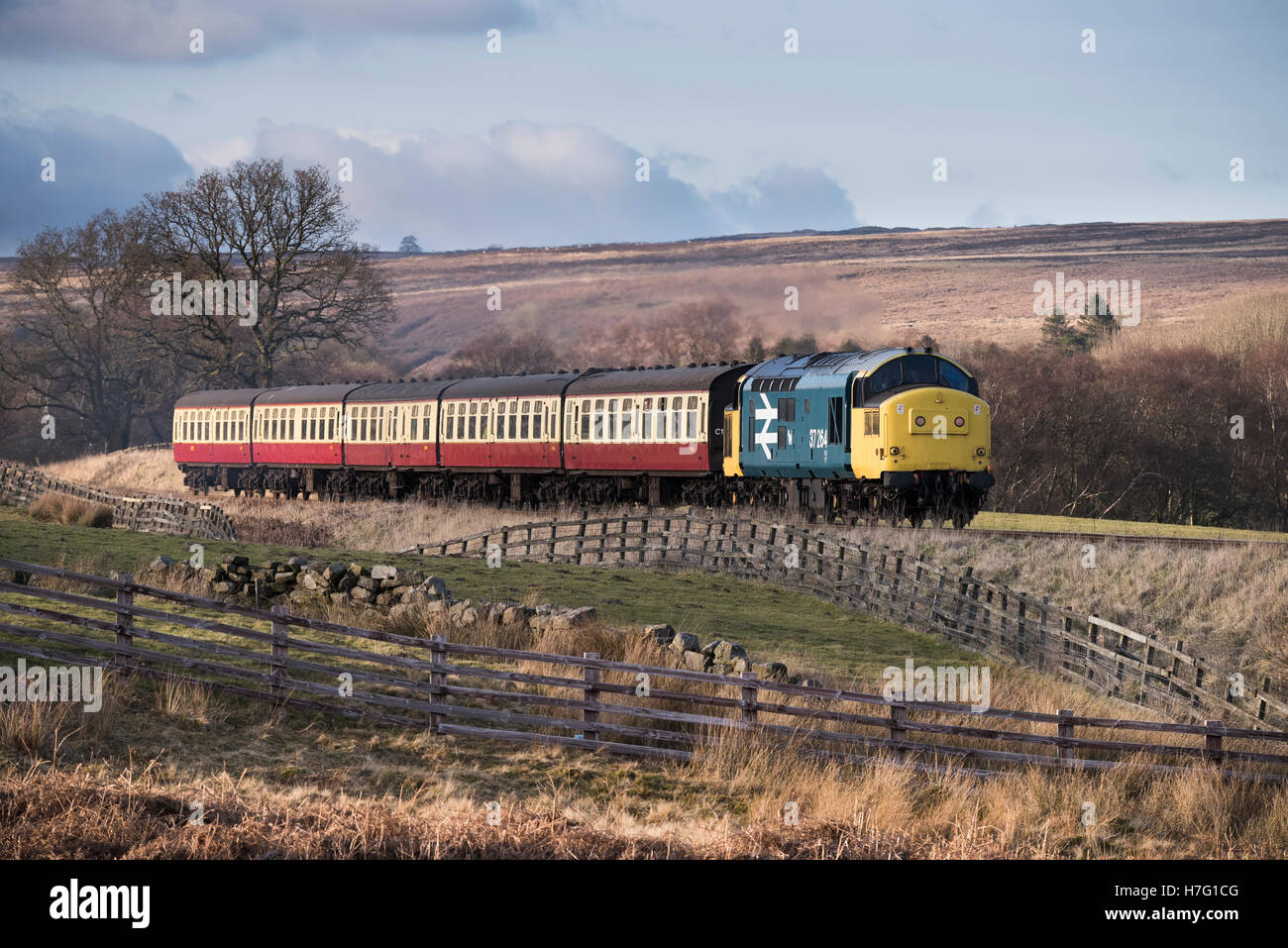 BR Class 37 'Co-Co' No. 37264 diesel locomotive train traveling on the tracks of the North Yorkshire Moors Railway, GB, UK. Stock Photo