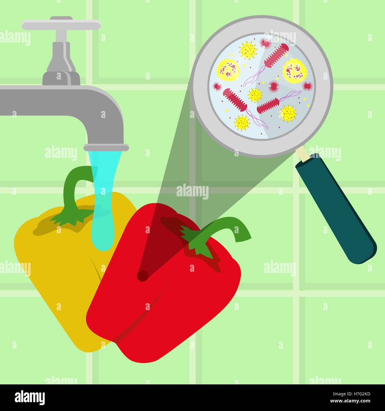 Contaminated bell peppers being cleaned and washed in a kitchen. Microorganisms, virus and bacteria in the vegetable enlarged by Stock Vector