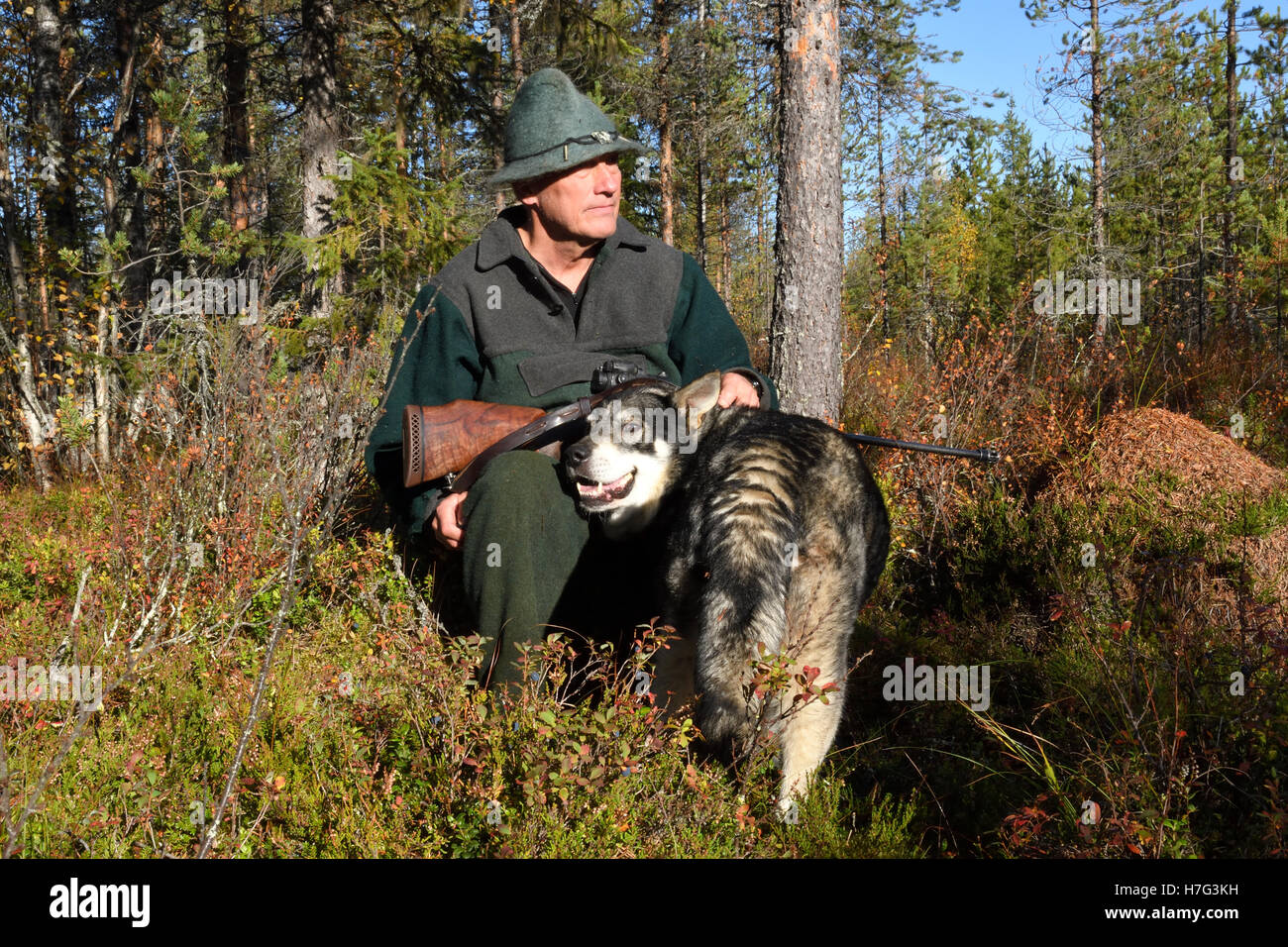 Moose hunter sitting on a stump holding his rifle and with his dog next to him,picture from the North of Sweden. Stock Photo
