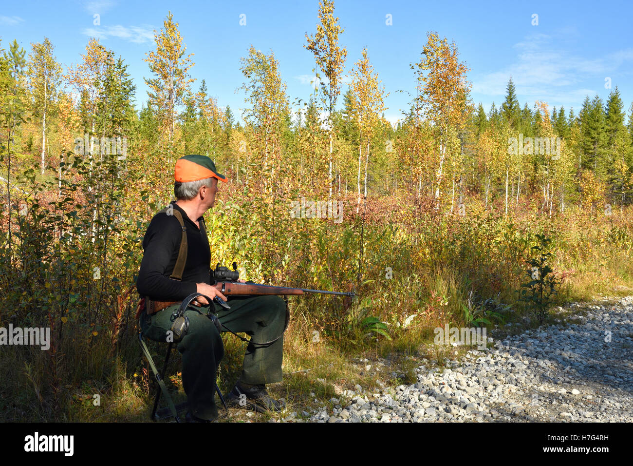 Moose hunter with orange cap sitting on a chair holding a rifle, picture from the North of Sweden. Stock Photo