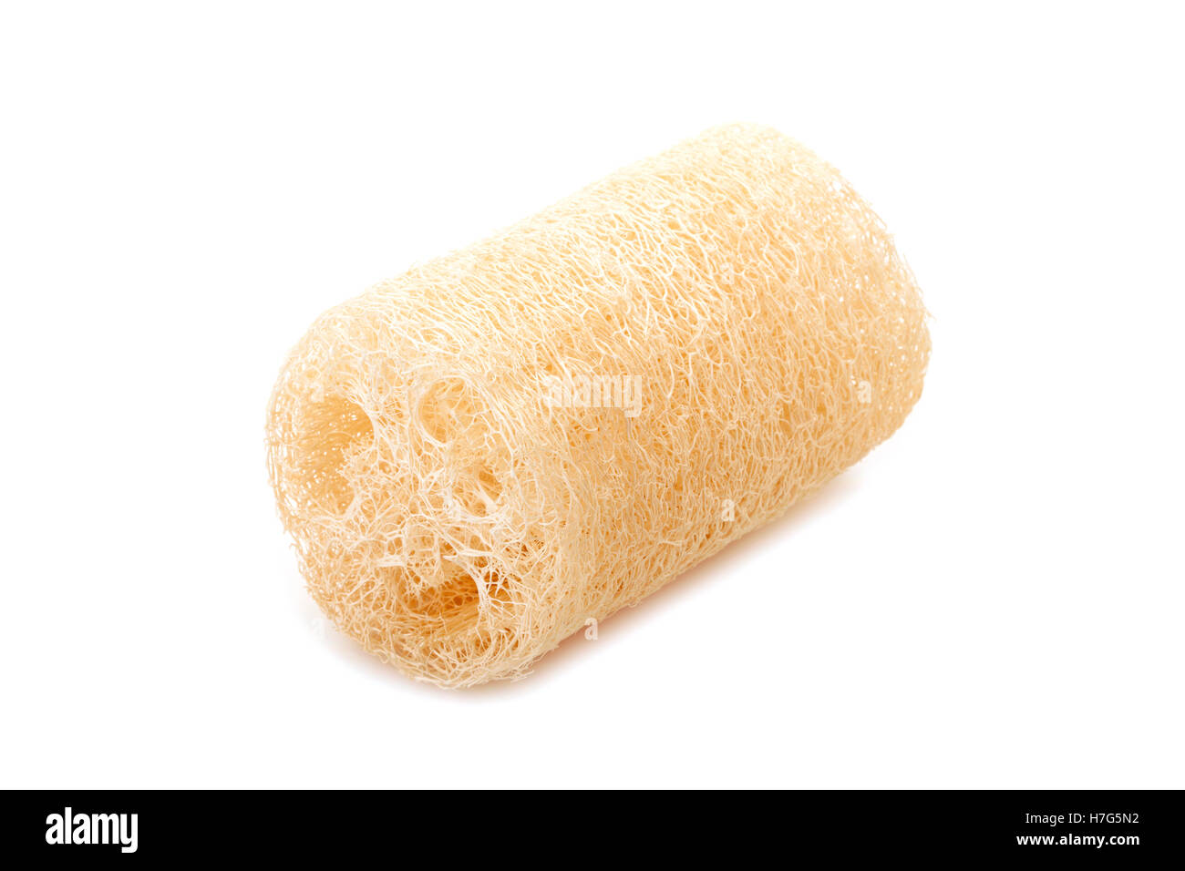 loofah natural sponge for body remove dirt and dead skin isolated on