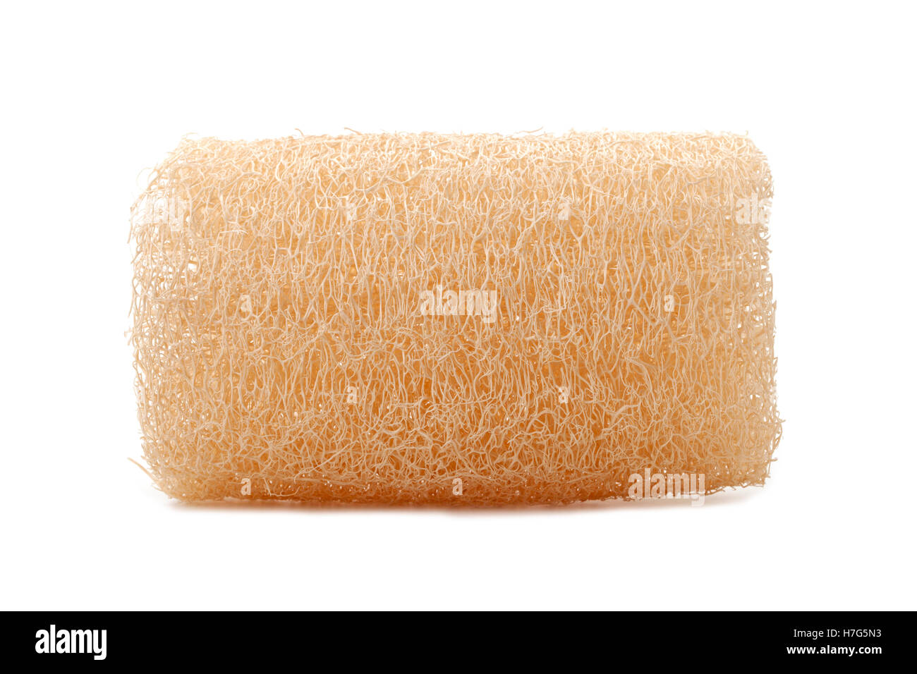 loofah natural sponge for body remove dirt and dead skin isolated on