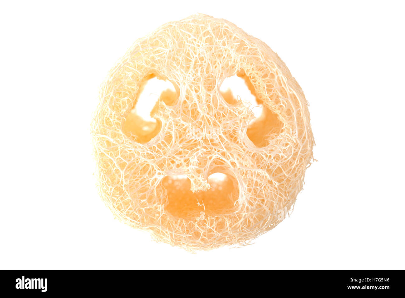 loofah natural sponge for body remove dirt and dead skin isolated on