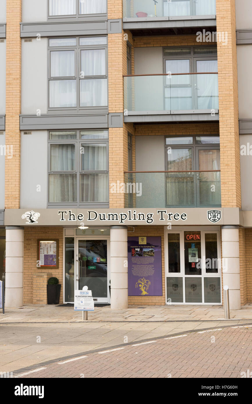 The Dumpling Tree chinese restaurant Homerton Street Cambridge UK part of a new development in the southern part of Cambridge Stock Photo