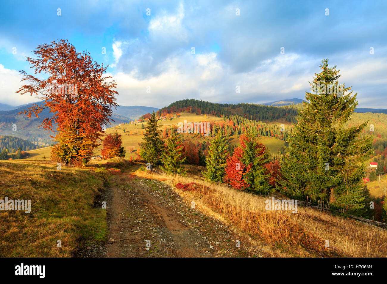 Morning in Carpathians mountain Transylvania,Romania Stock Photo - Alamy