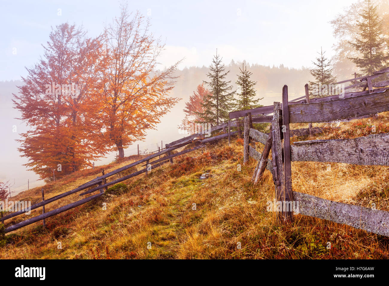 Colorful autumn landscape scene with fence in Transylvania mountain ...