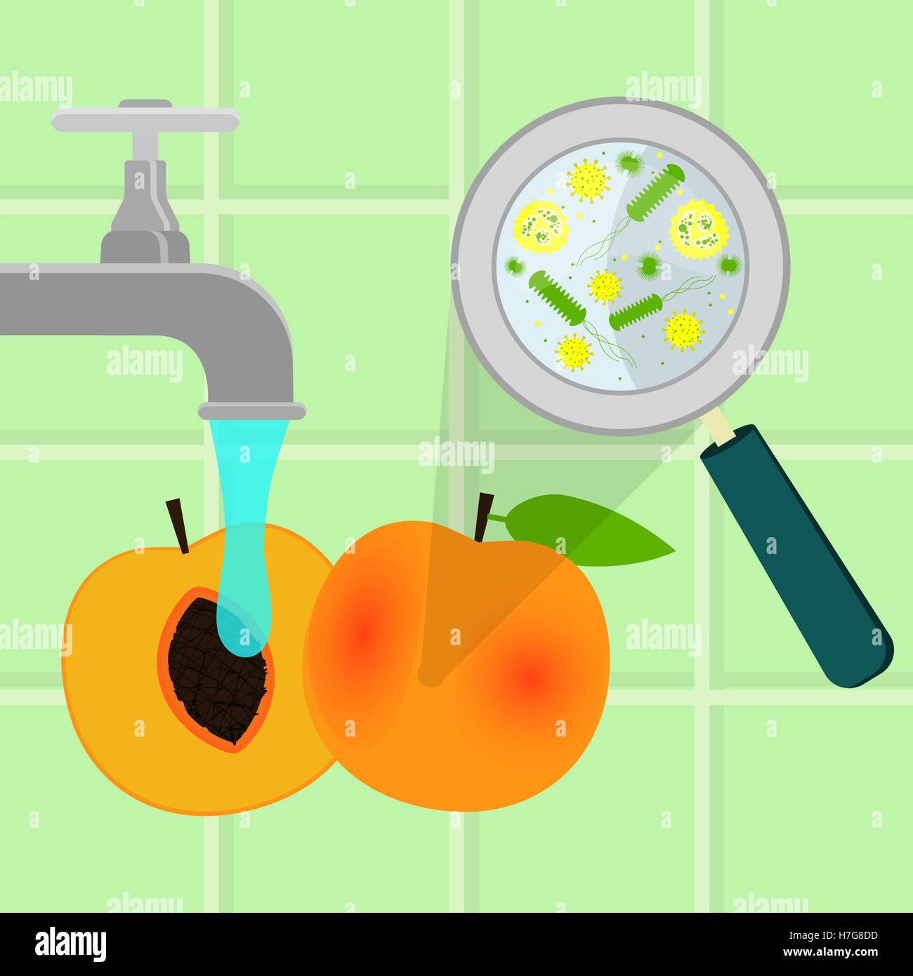 Contaminated peach being cleaned and washed in a kitchen