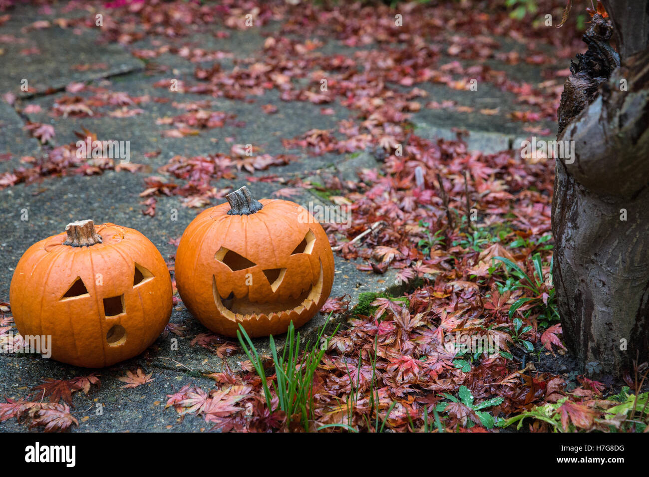 Customs halloween hi-res stock photography and images - Page 3 - Alamy