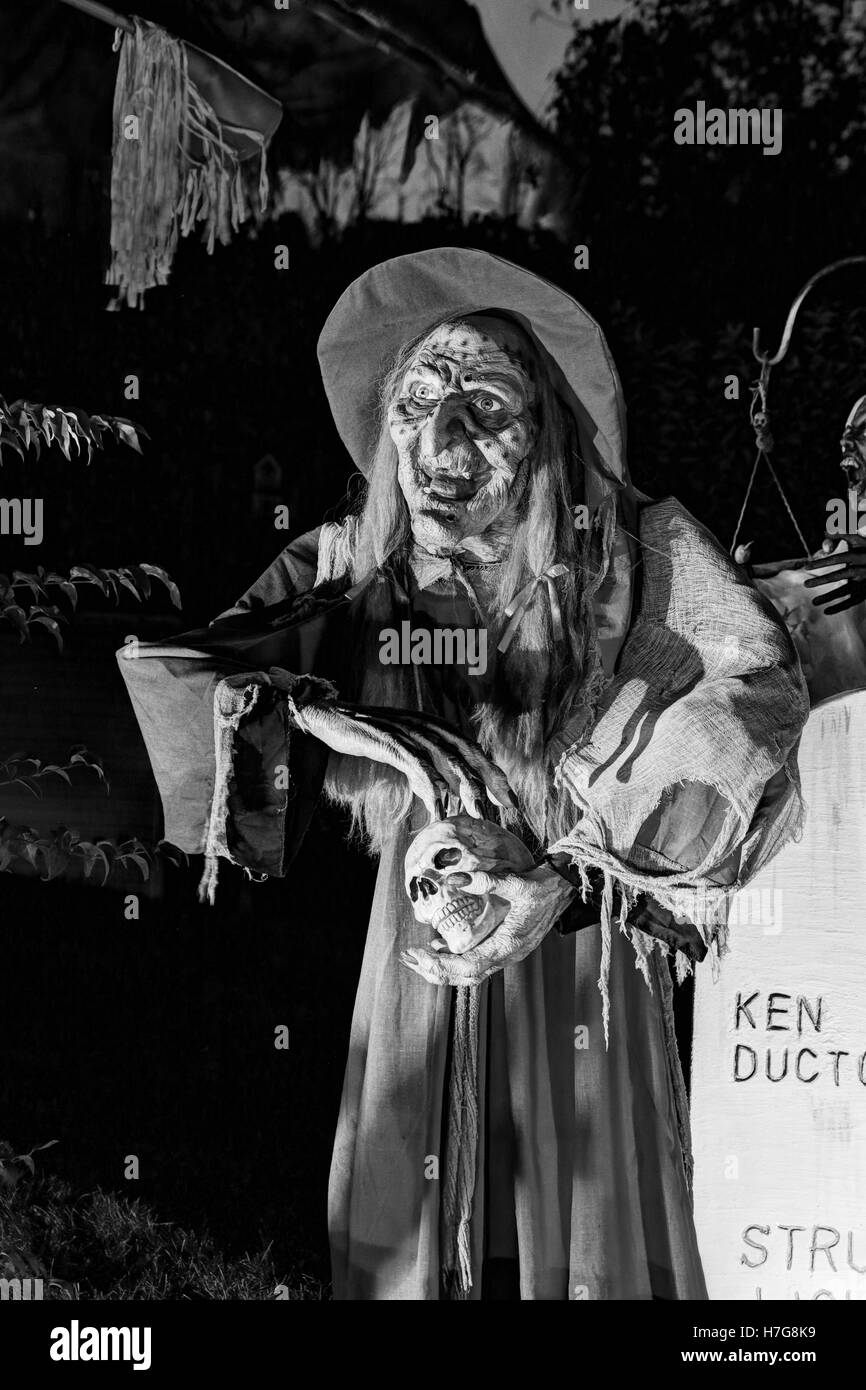Witch Holding A Skull Halloween Decorations Halloween Yard