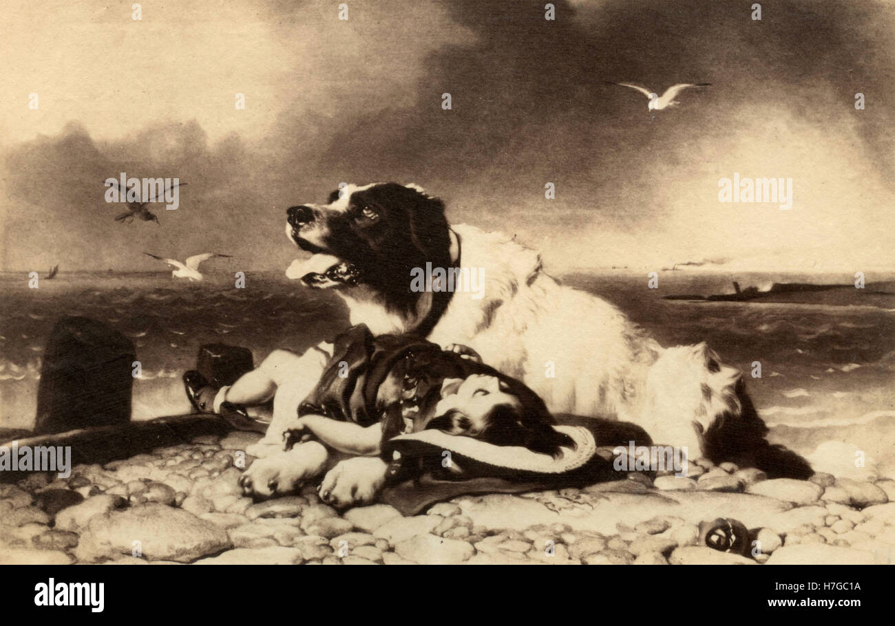 Landseer Newfoundland Dog saving a child, print by Samuel Cousins after Edwin Henry Landseer Stock Photo
