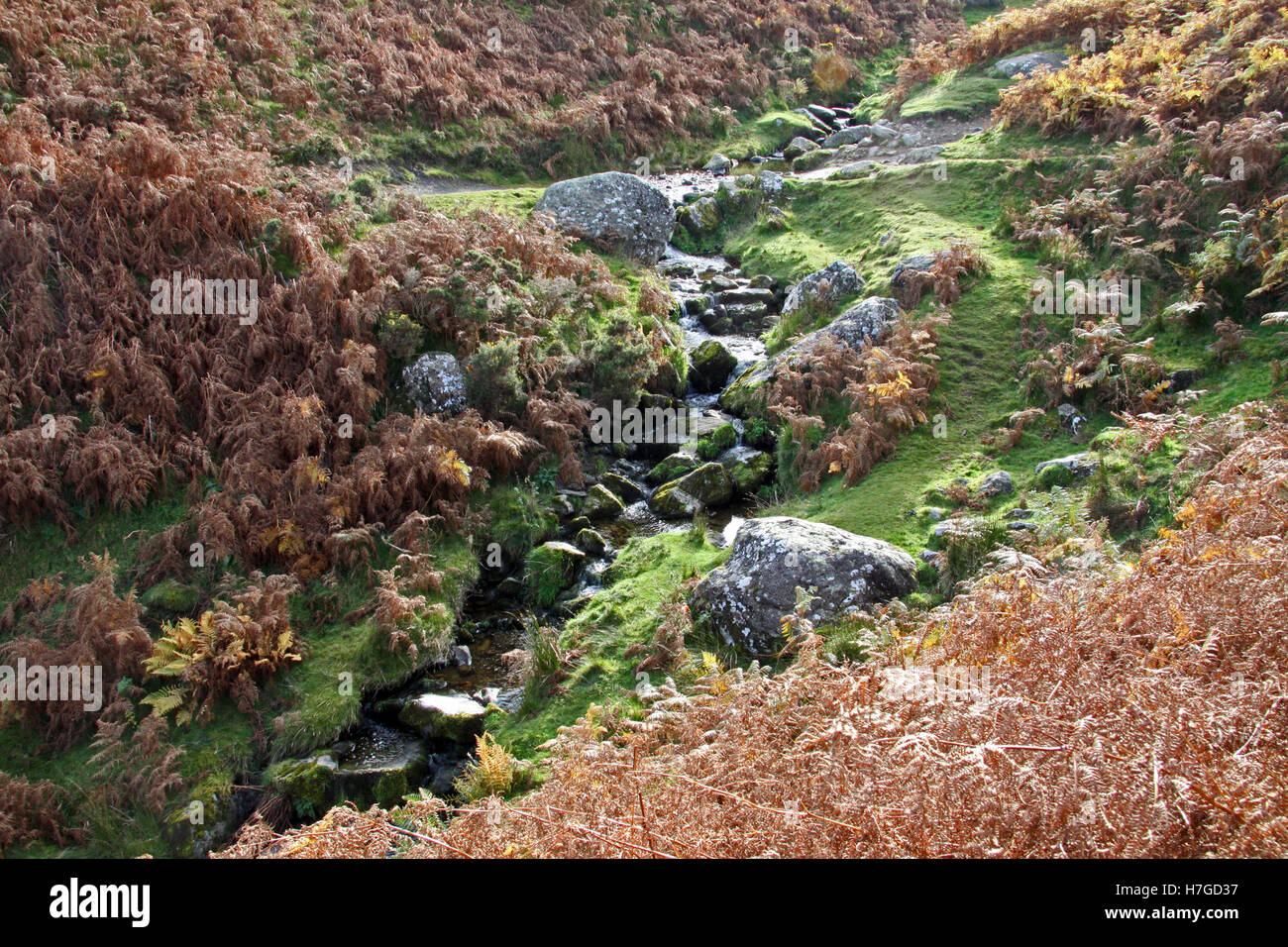 Bracken lake district hires stock photography and images Alamy