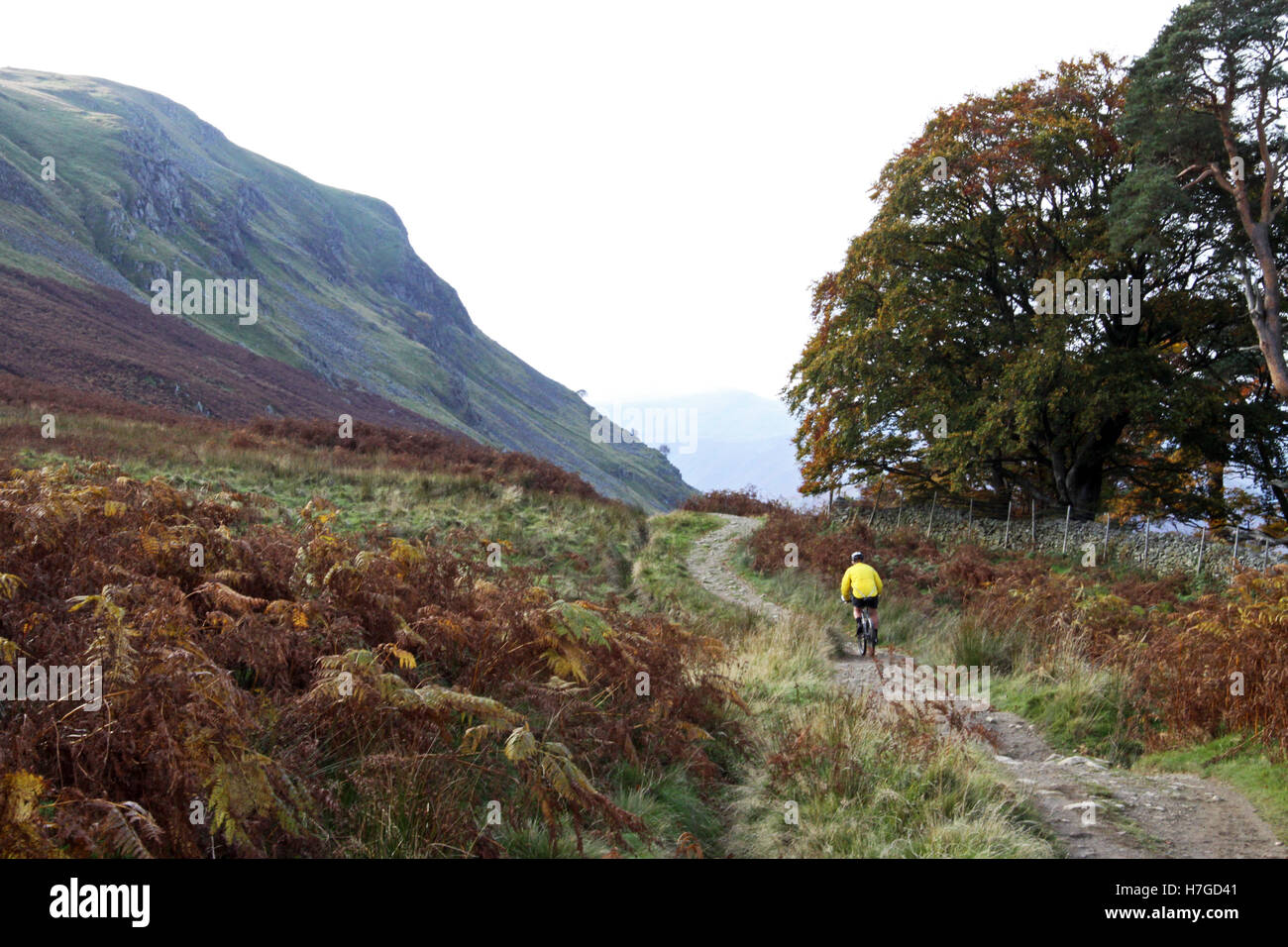 a mountain biker rides a lake side path at Ullswater, Cumbria, UK Stock Photo