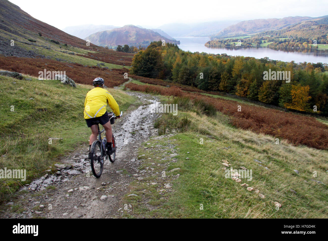 a mountain biker rides a lake side path at Ullswater, Cumbria, UK Stock Photo