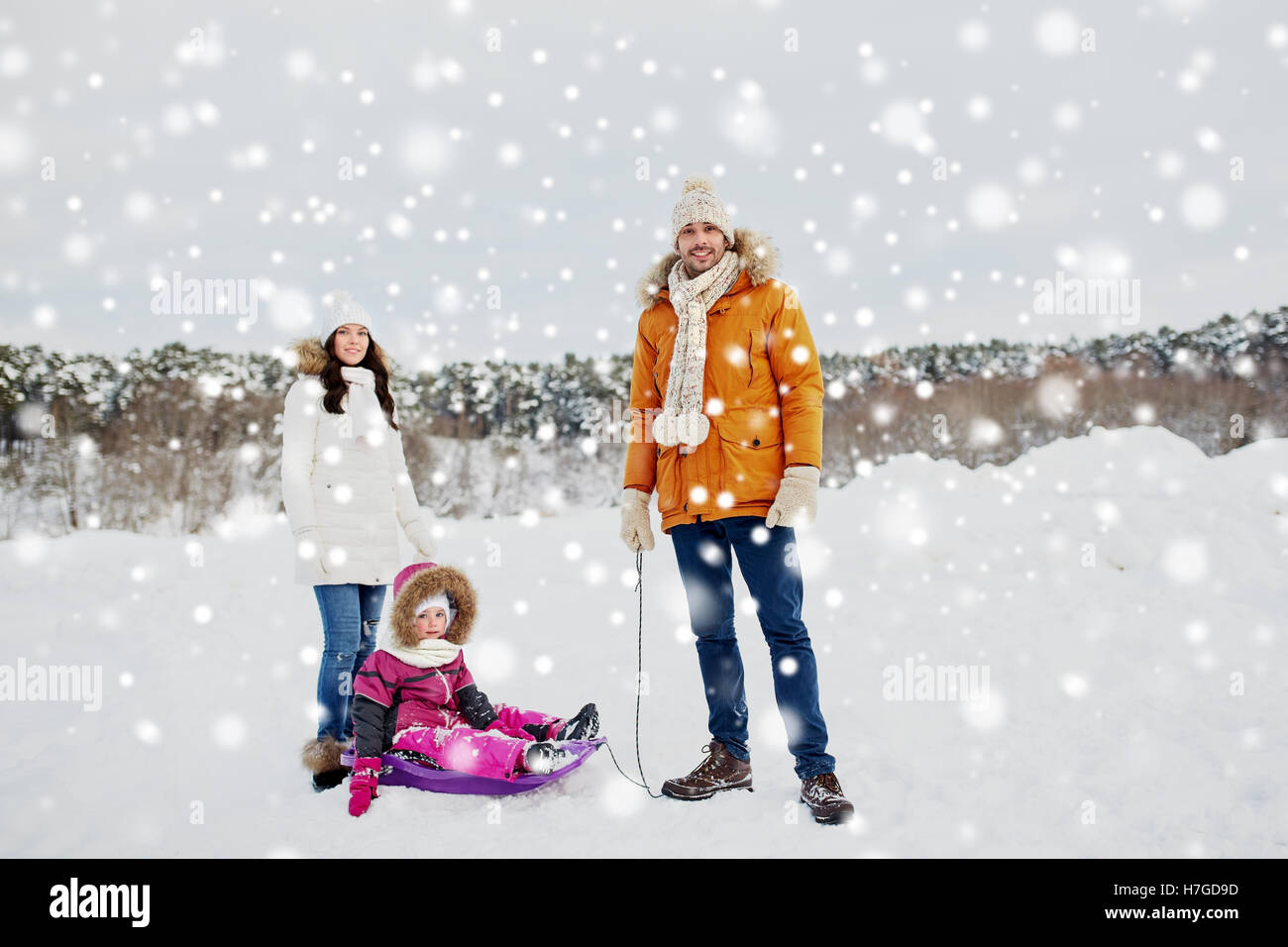 happy family with sled walking in winter outdoors Stock Photo - Alamy