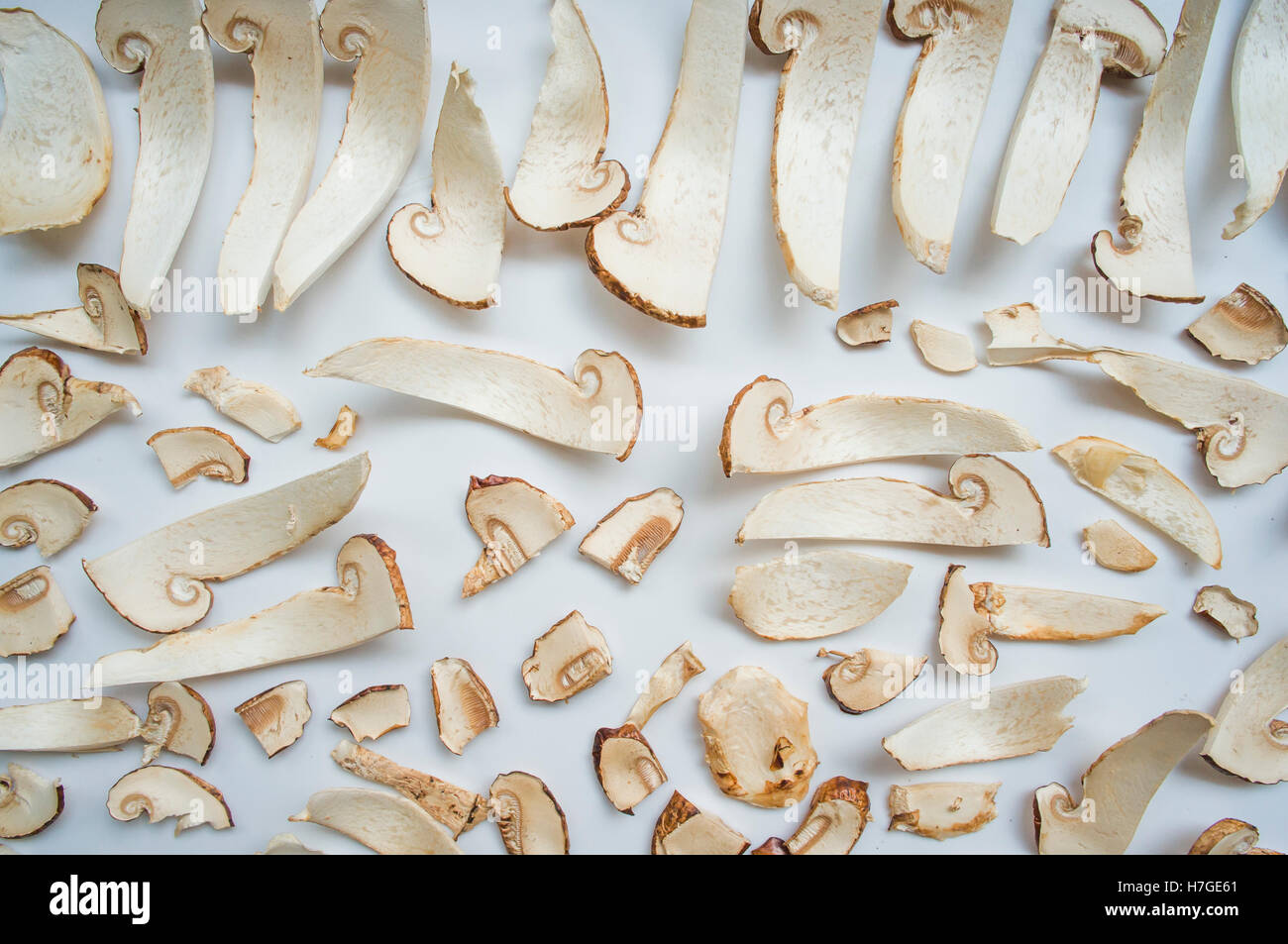 tricholoma matsutake slices Stock Photo Alamy