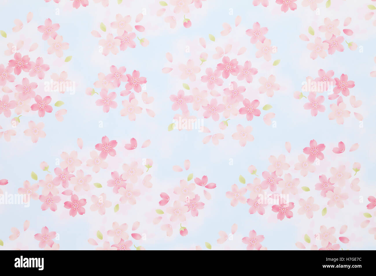 Traditional Japanese cherry blossom pattern paper, texture background Stock Photo