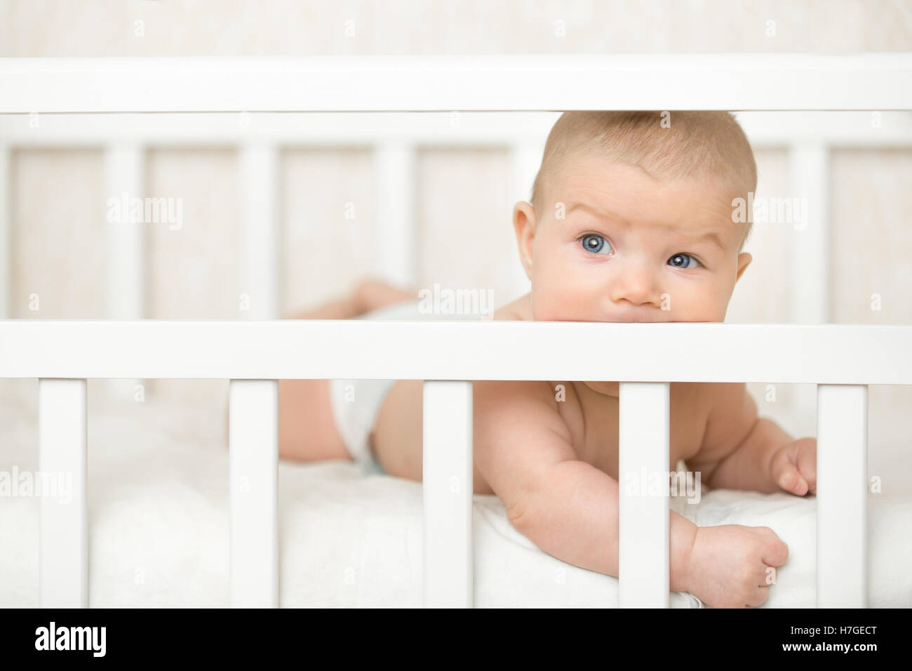 Cute baby in a cot sucking the wooden board Stock Photo