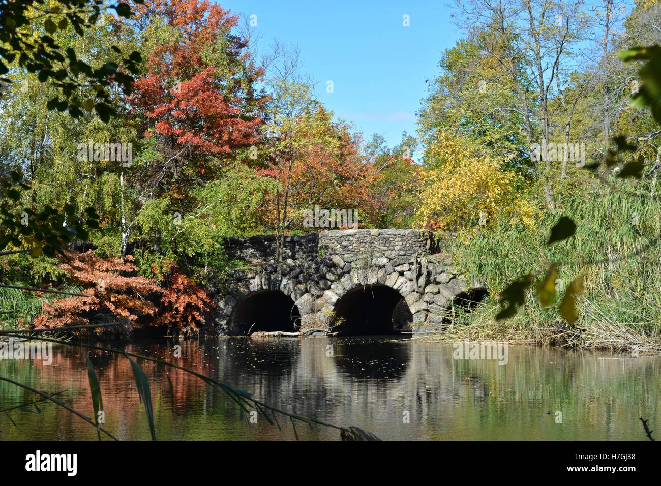 The Fenway Olmsted Park, Muddy River, and Victory Gardens in Boston's